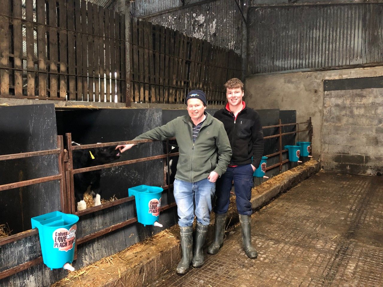 Are you tight for calf housing? Check out how this farmer overcame this problem