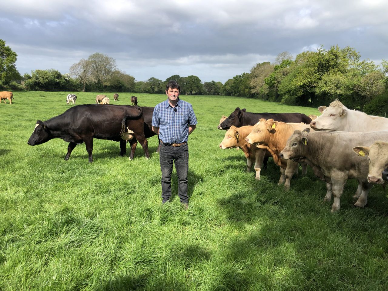 IGA event to discuss reducing fertiliser on suckler farms