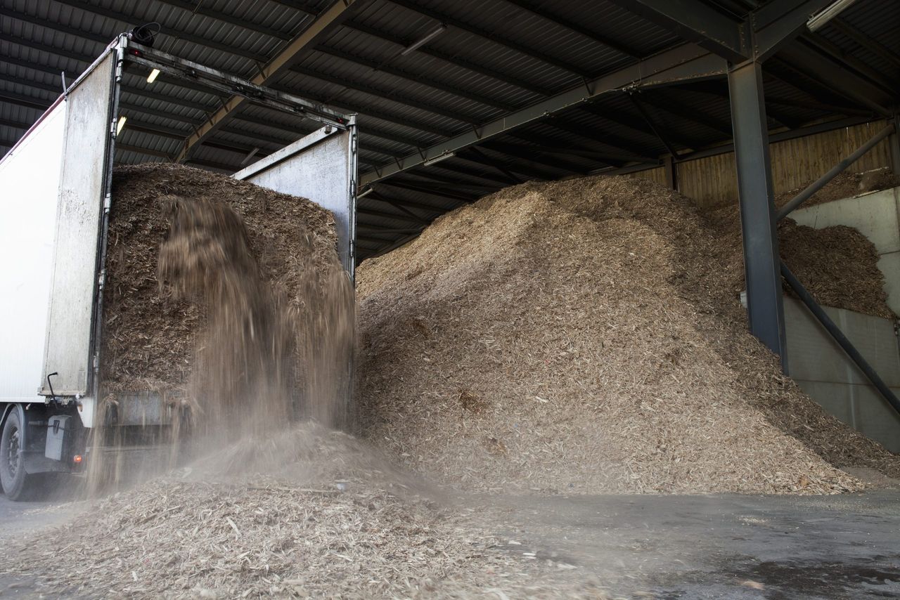 Key milestone reached in project to map biomass