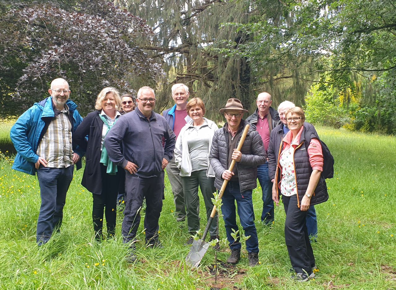 ITGA presents 'unique' native tree to Emo Court in Laois