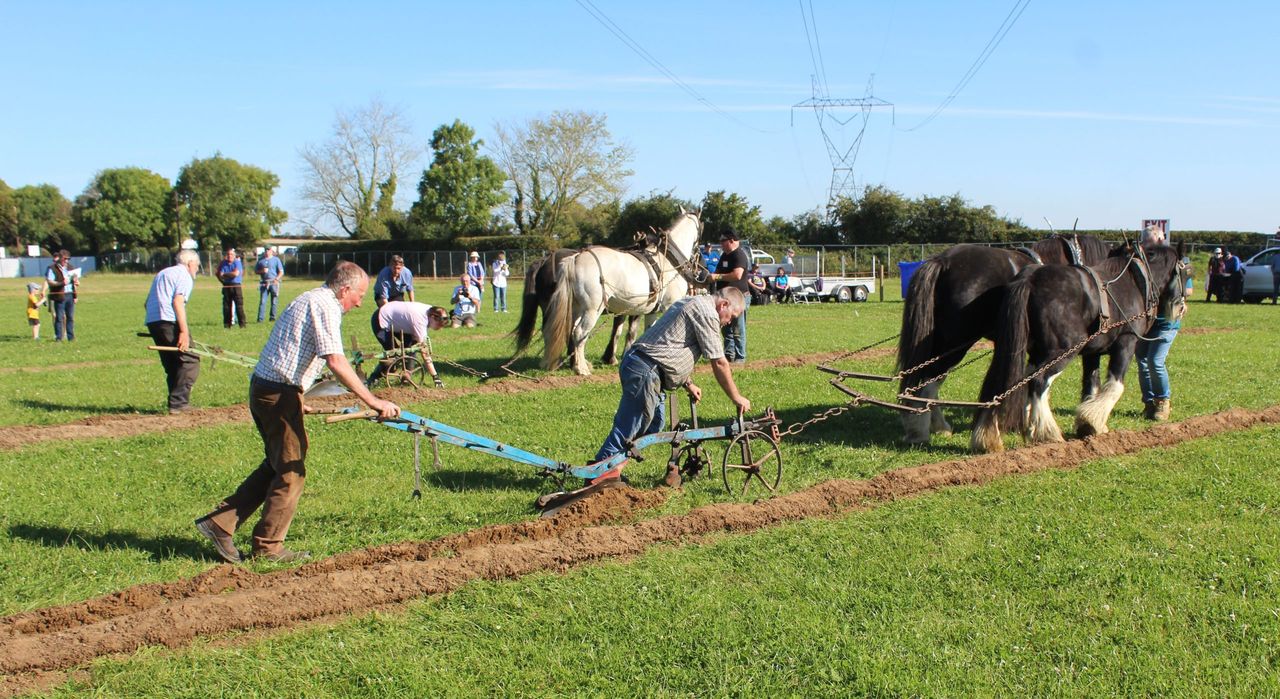 Horses take centre stage at day two of Ploughing 2024
