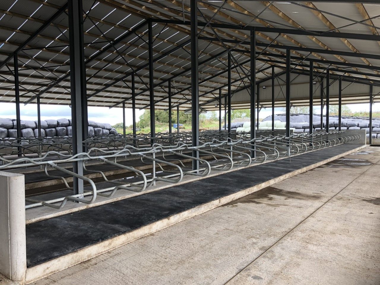 Buildings Focus: 'Biting the bullet' by building a 150-cubicle shed in Co. Offaly
