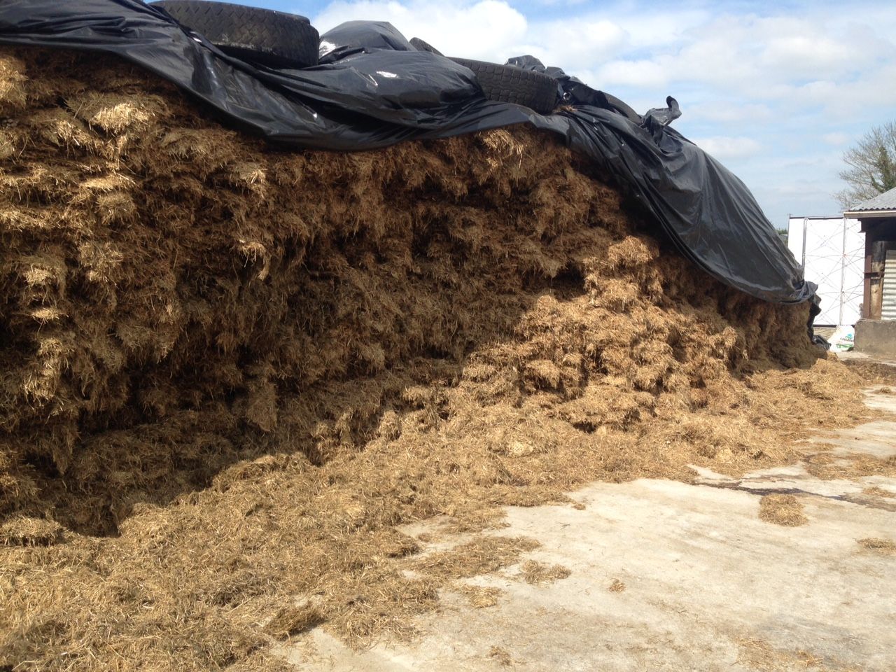 Silage quality improves slightly but huge variation in samples - Glanbia