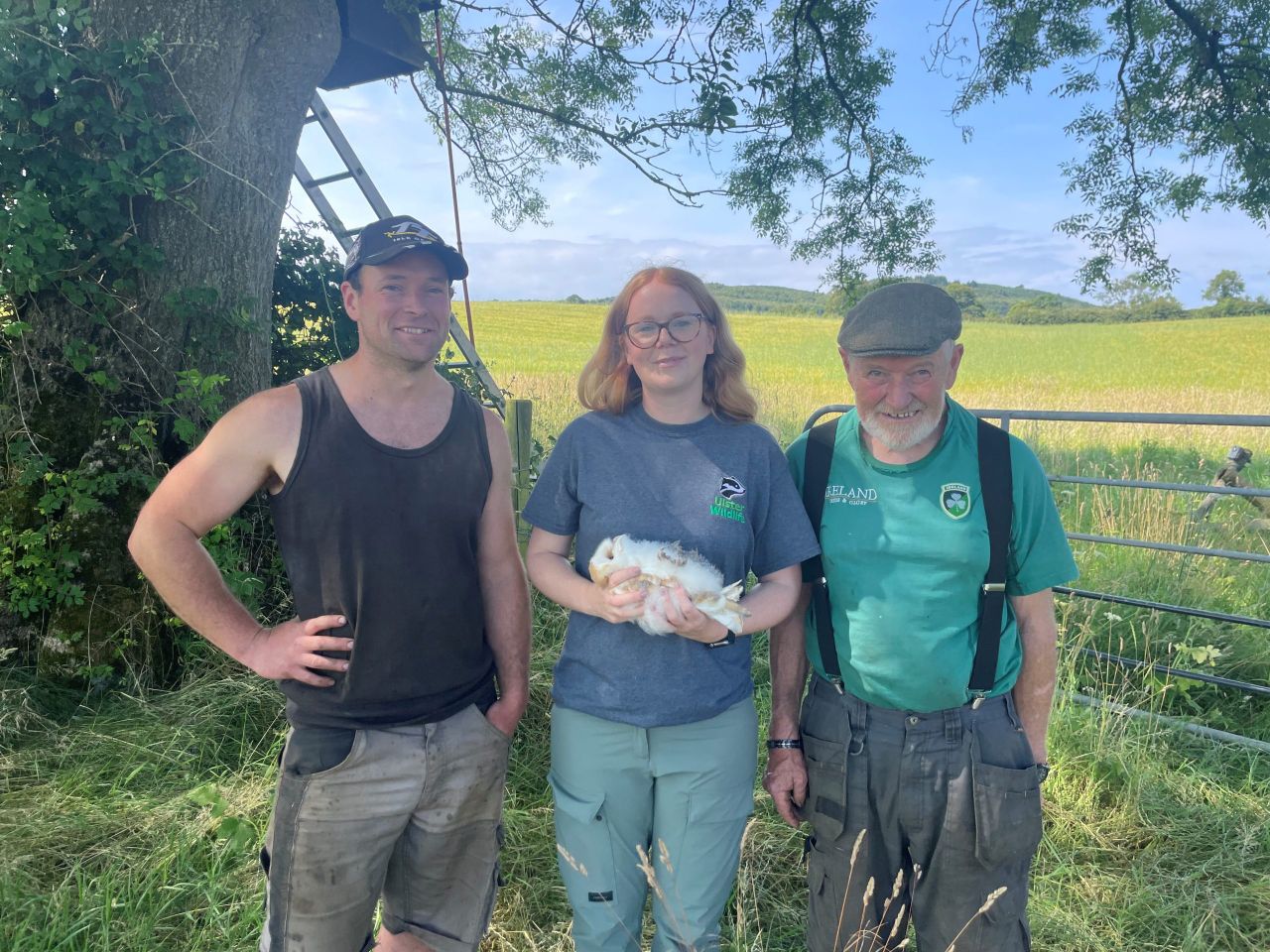 Barn owls breed successfully on Down farm for third year running