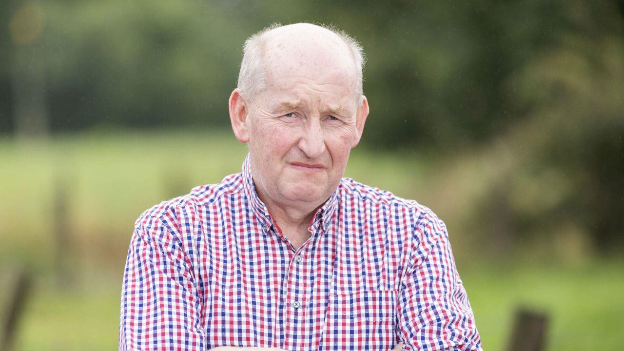 UFU reissues livestock worrying warning amid recent dog attacks