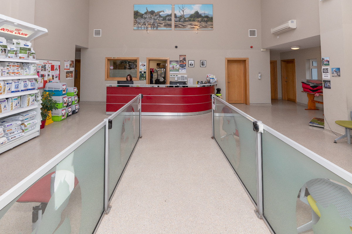 Veterinary business chain in process of acquiring Midleton practice