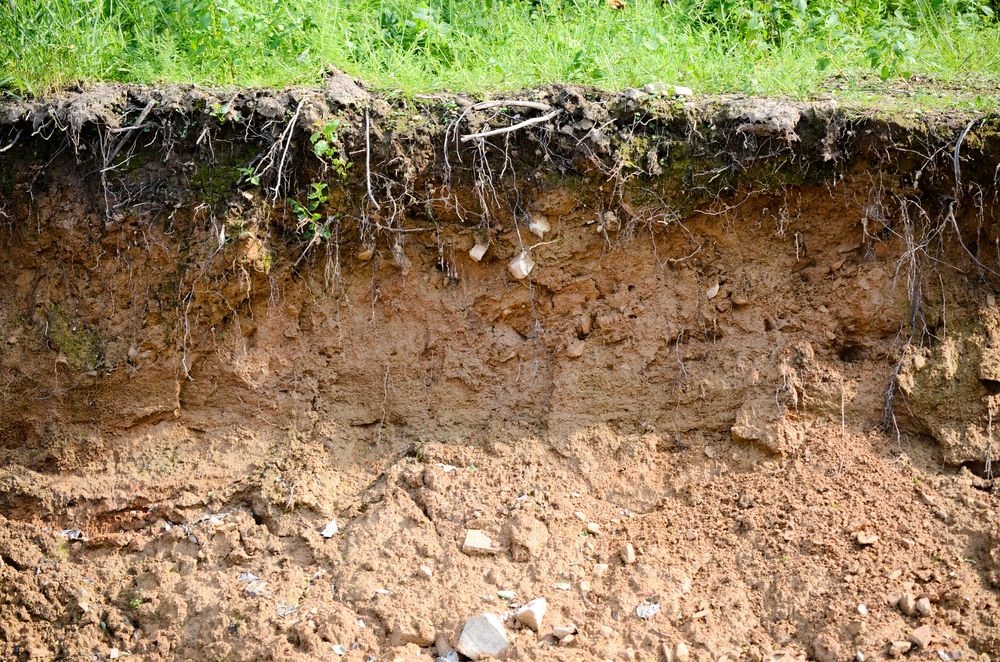 EU Commission drop Framework Directive on Soil