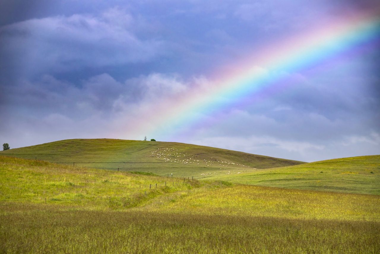 EPA: Agriculture GHG emissions down 1.7% in 2024