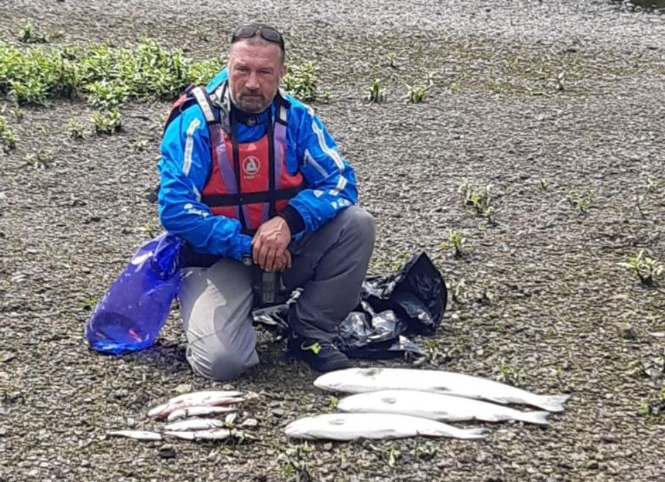Authorities investigate major fish kill with 2,000 fish dead