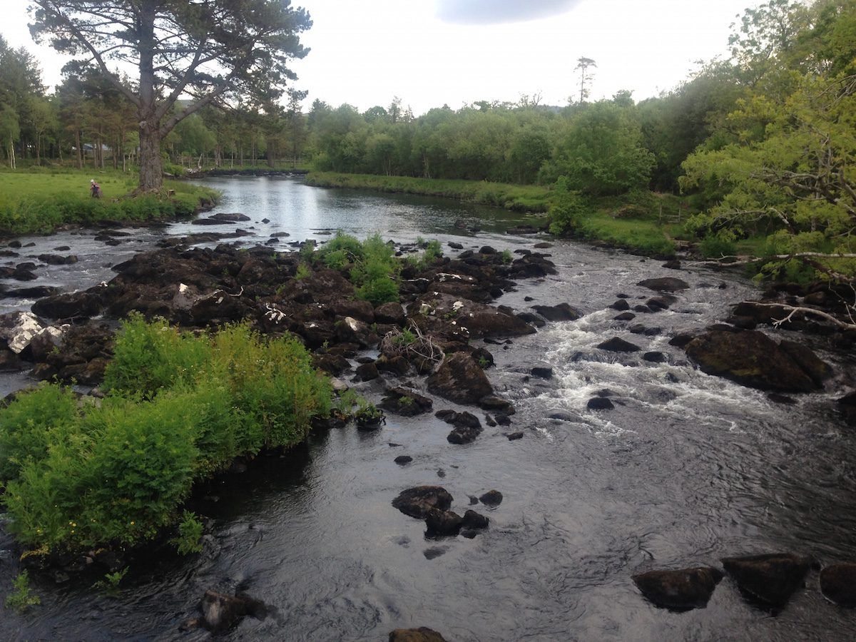 Farmer in the North fined for polluting waterway