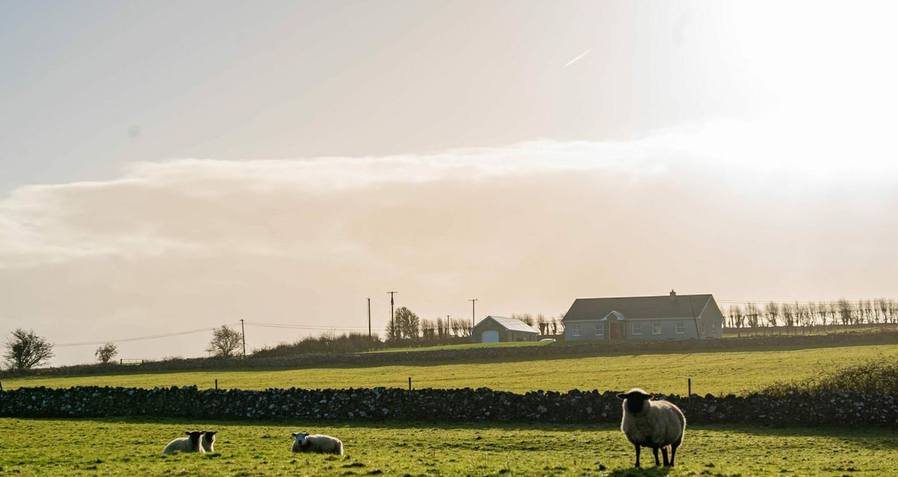 MacManus: Gort biogas plant a 'totally unsuitable development'