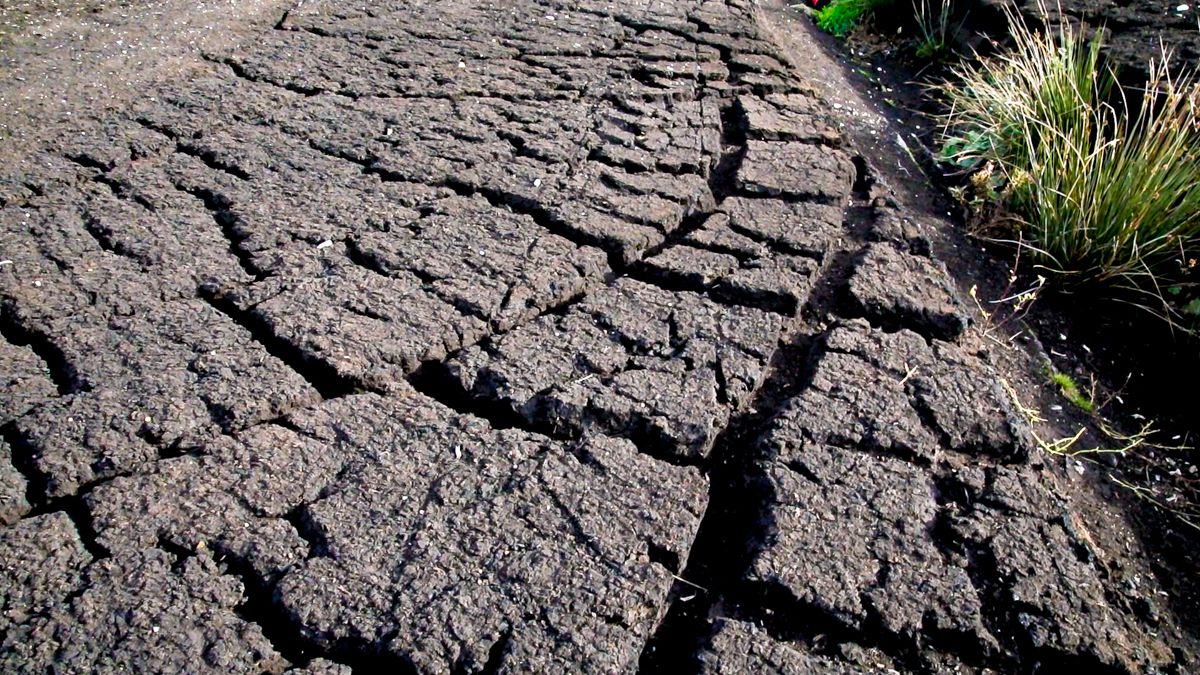 EPA: Large-scale commercial peat extraction continues