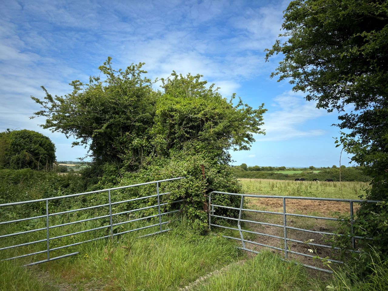 Carlow CoCo agri inspectors to undertake 'investigative monitoring'