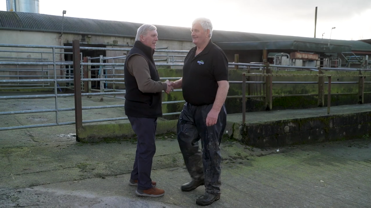 Turning every calf into value: The NCBC dairy-beef advantage