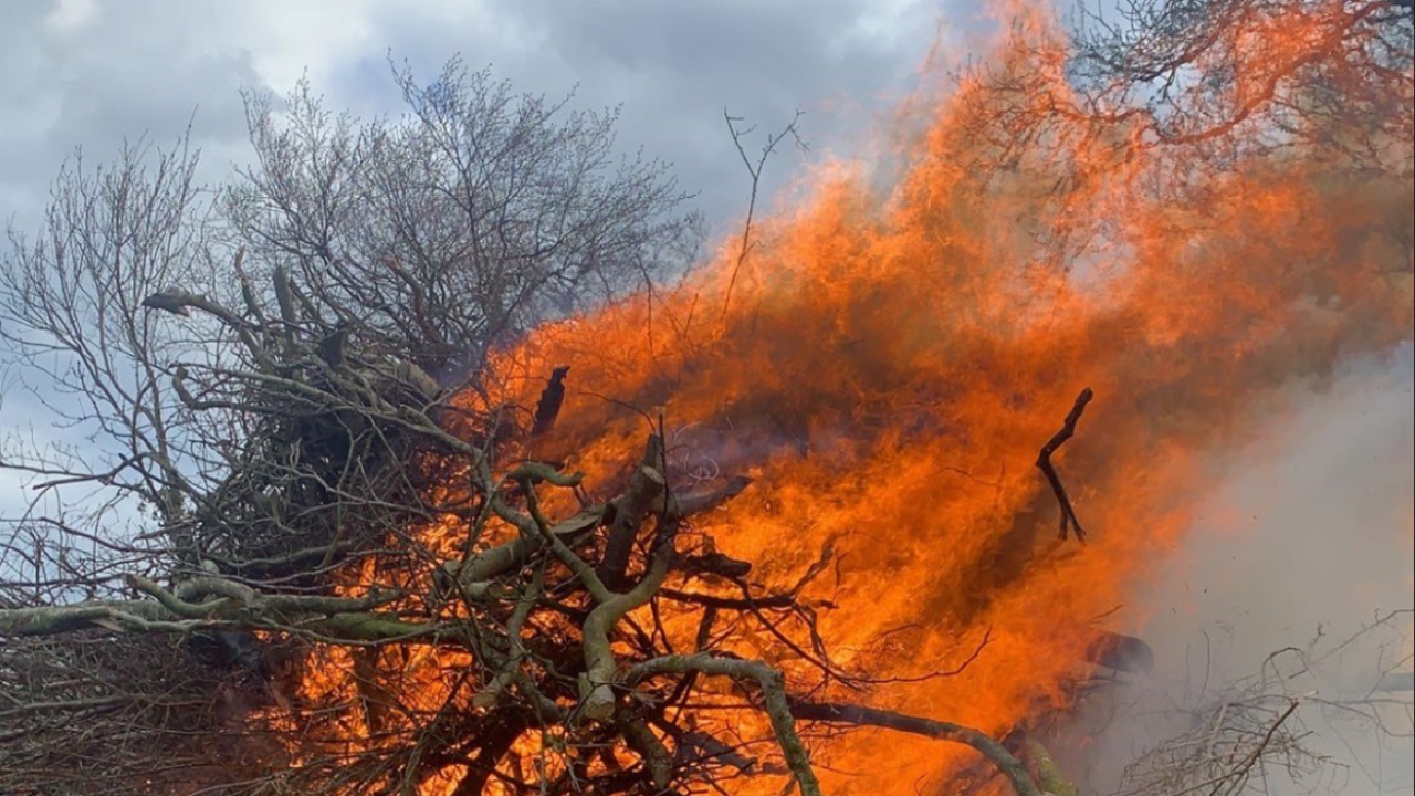 Reminder: 4 days left to burn bushes before September