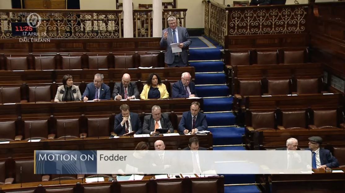 Fianna Fail's fodder crisis motion to be put to a vote