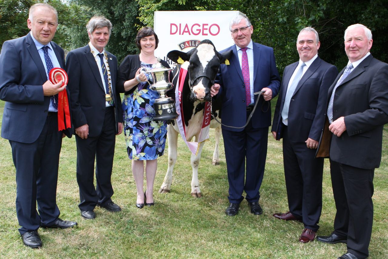 €10,000 up for grabs at dairy livestock competition