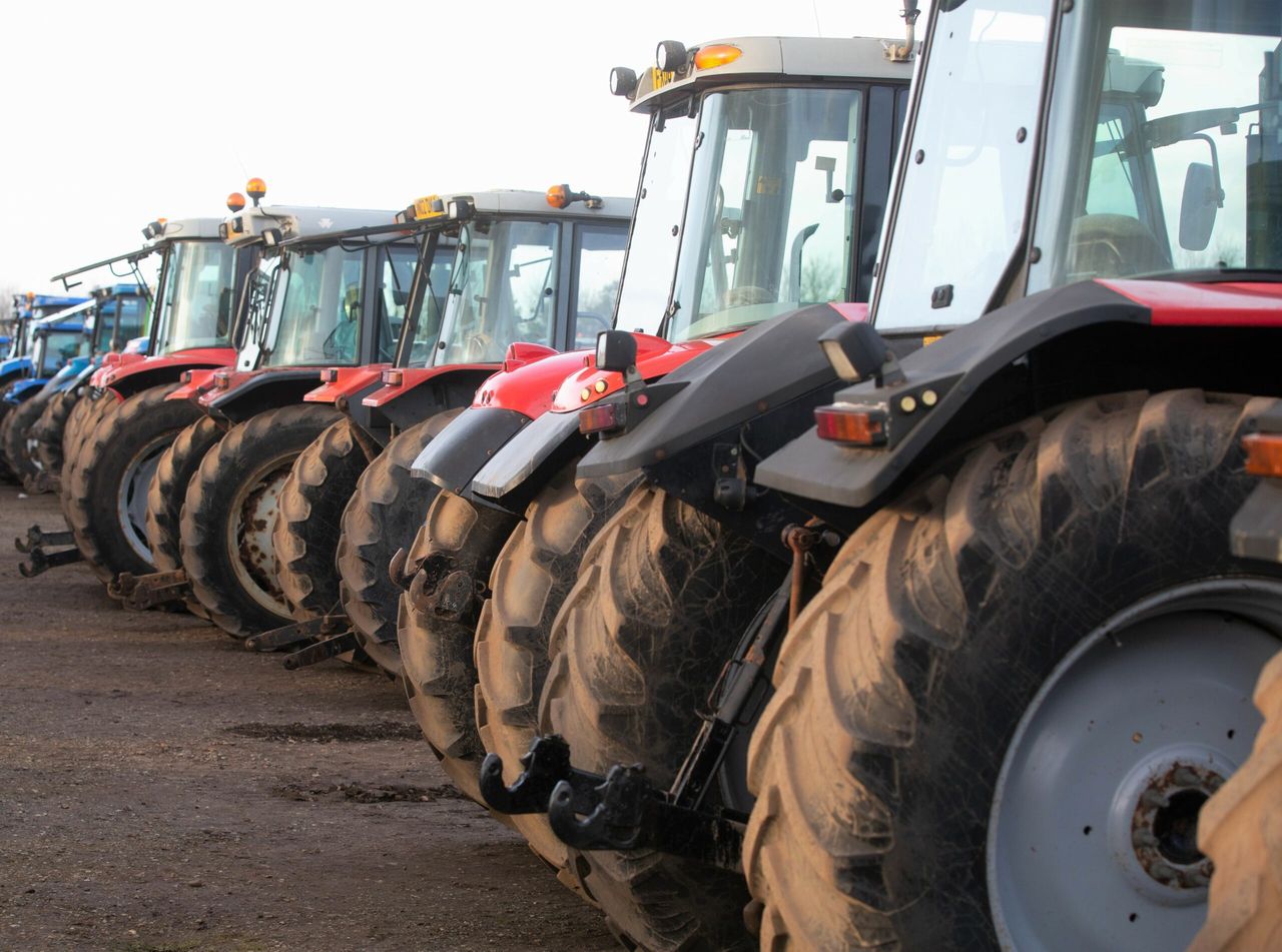 Auction report: 'If she's not red, leave her in the shed'