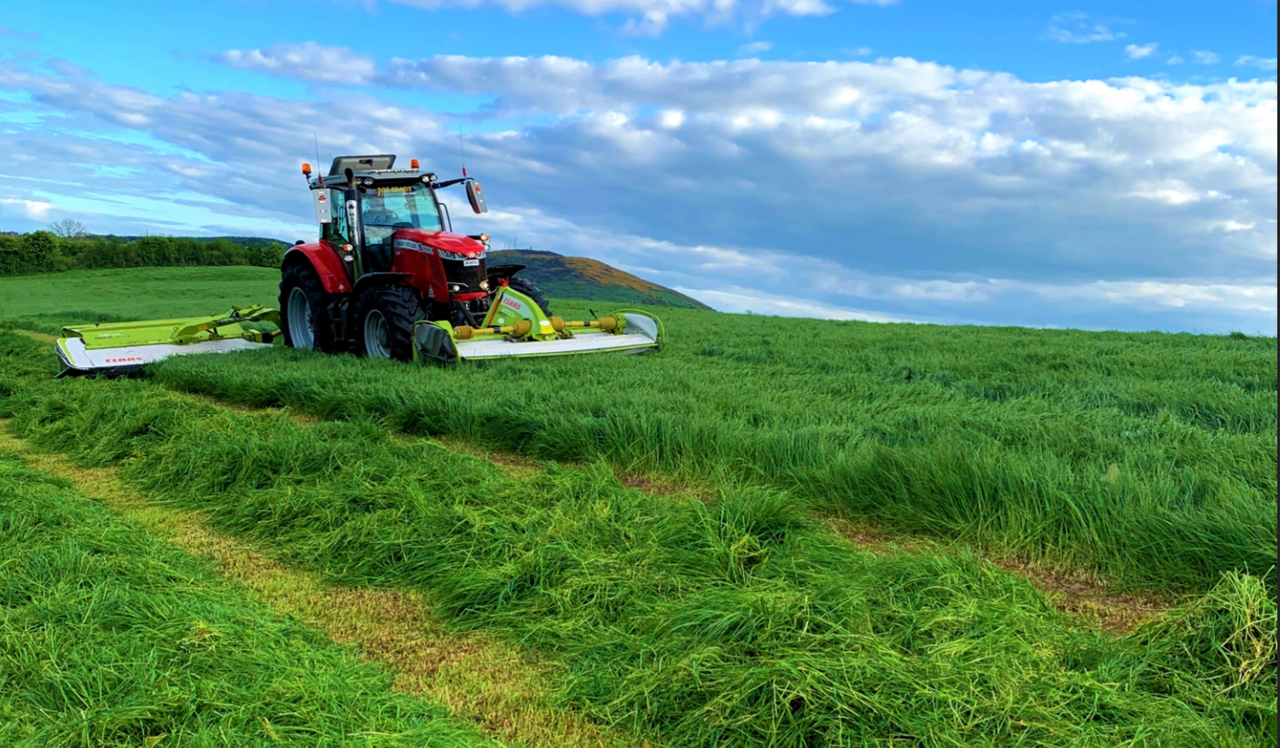 Dairy advice for the busy month of May