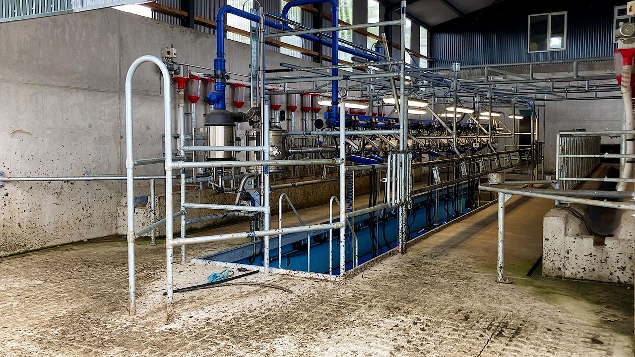 Buildings Focus: 14-unit parlour for a start-up 75-cow herd in Co. Wexford