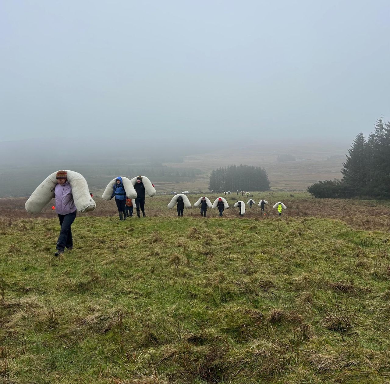 UFU and Ulster Wildlife trial use of wool in peatland restoration