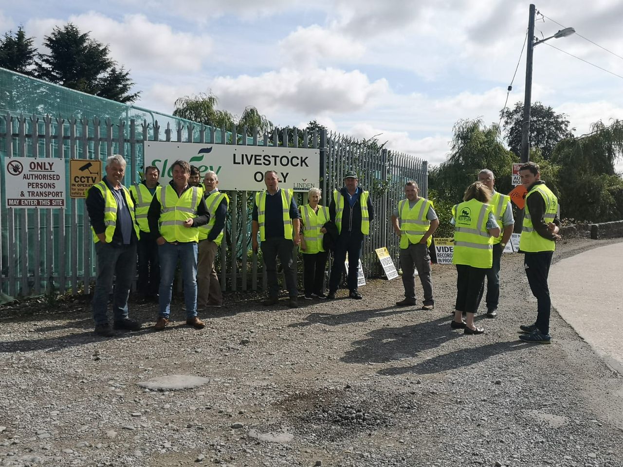 IFA members 'free to make own decisions' on joining beef protests