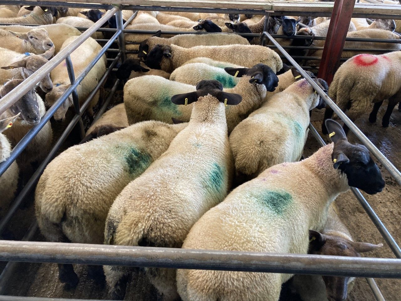 'Farmers must start being  appropriately paid for the quality food they produce'