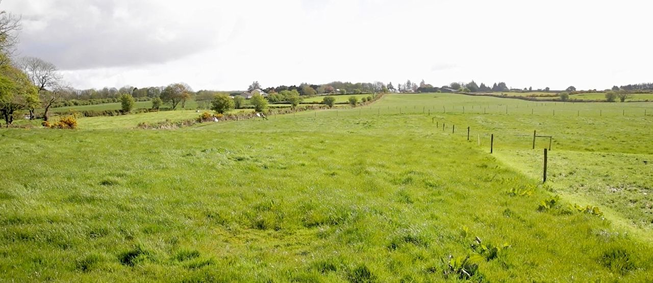 Growth Watch: Critical period for grazing decisions approaching