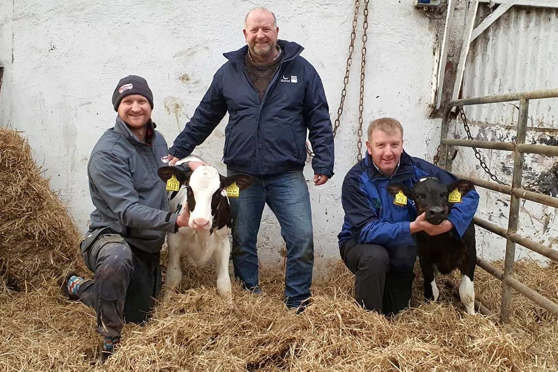 9 Northern Ireland heifers make top 20 of UK database