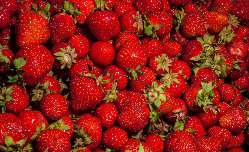 UK Government asks people to pick fruit and veg for Britain