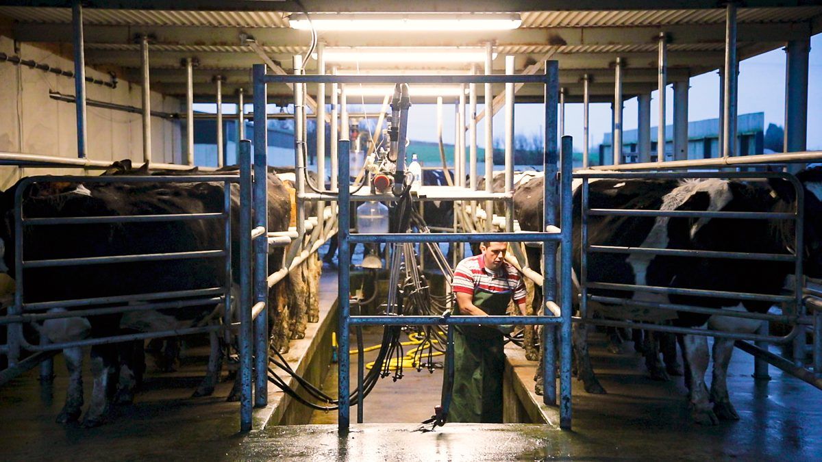 Making your farm a more attractive workplace for staff