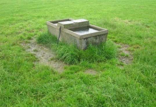Inefficient water use costing dairy farmers