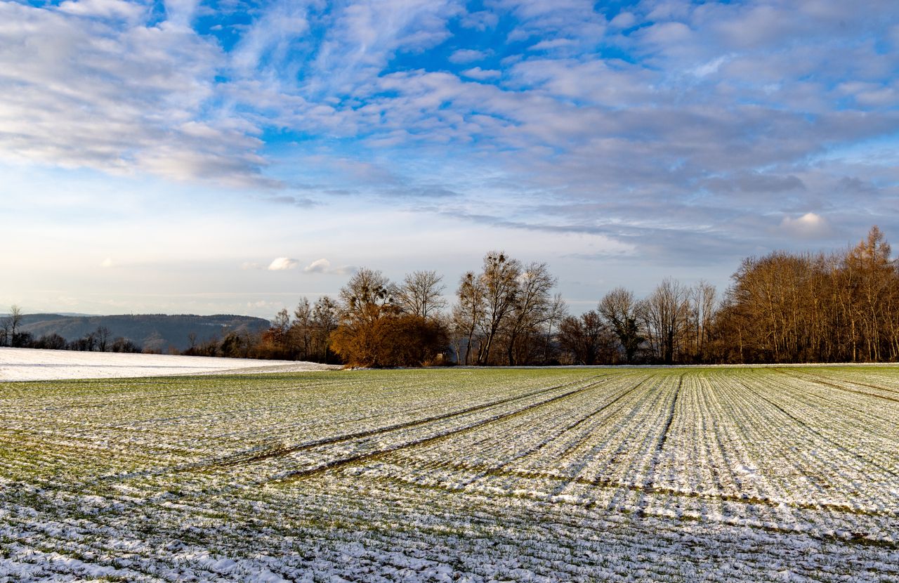 ESB Networks Winter Safety Series 2025: 10 tips for safer farming