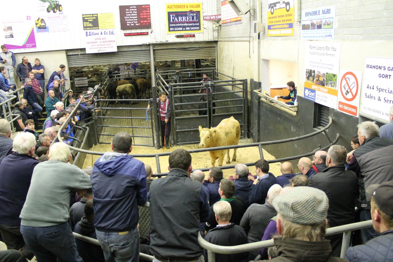 Gort Mart: Mixed ringside reaction to Irish Beef Sector Agreement