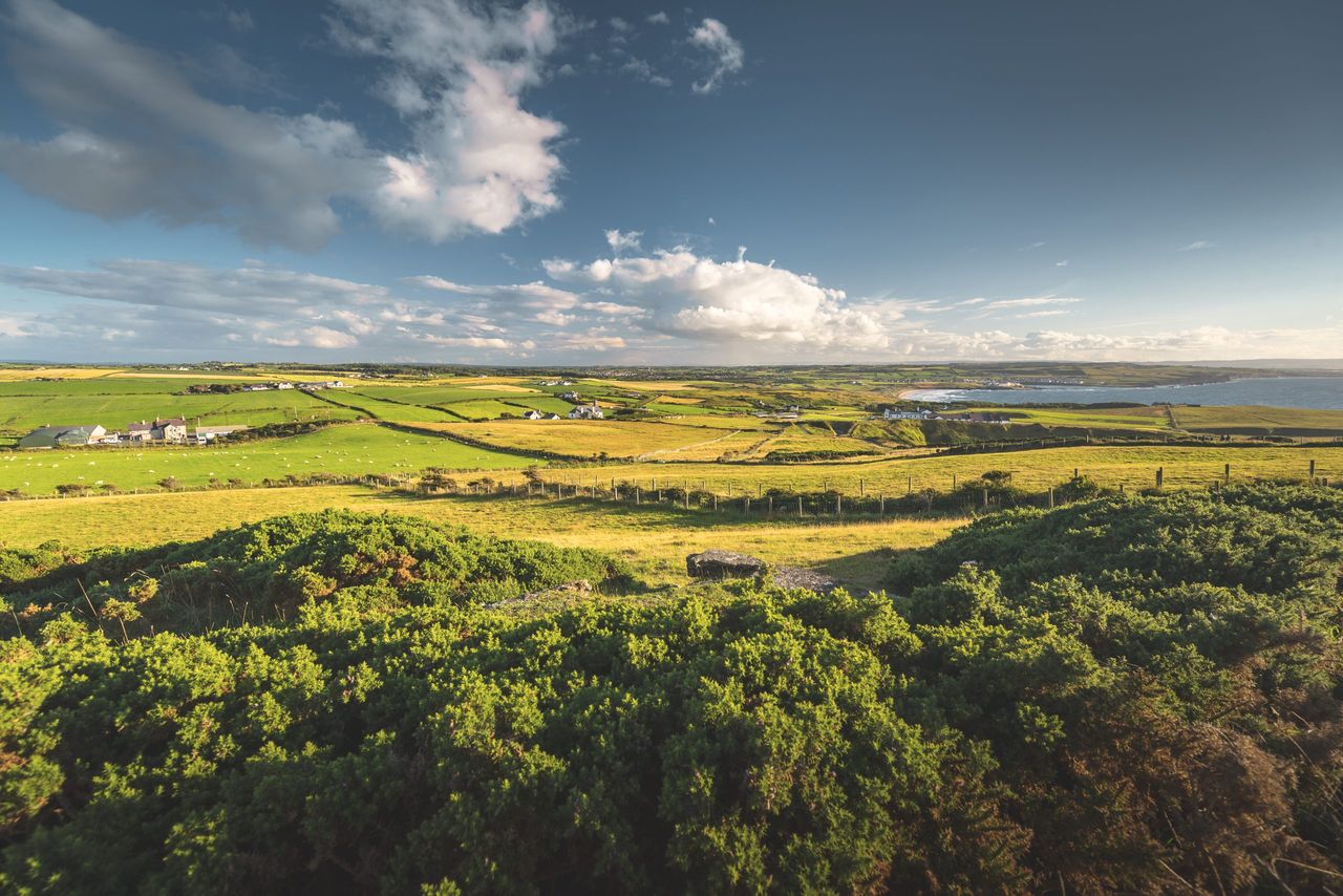 Éamon Ó Cuív named chair of the Countryside Council