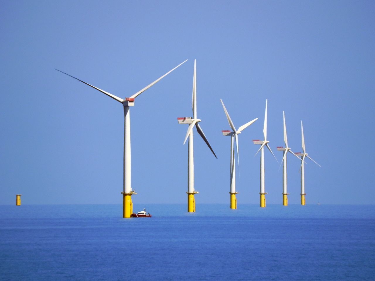 Renewable energy 'largely spared from pandemic effects'