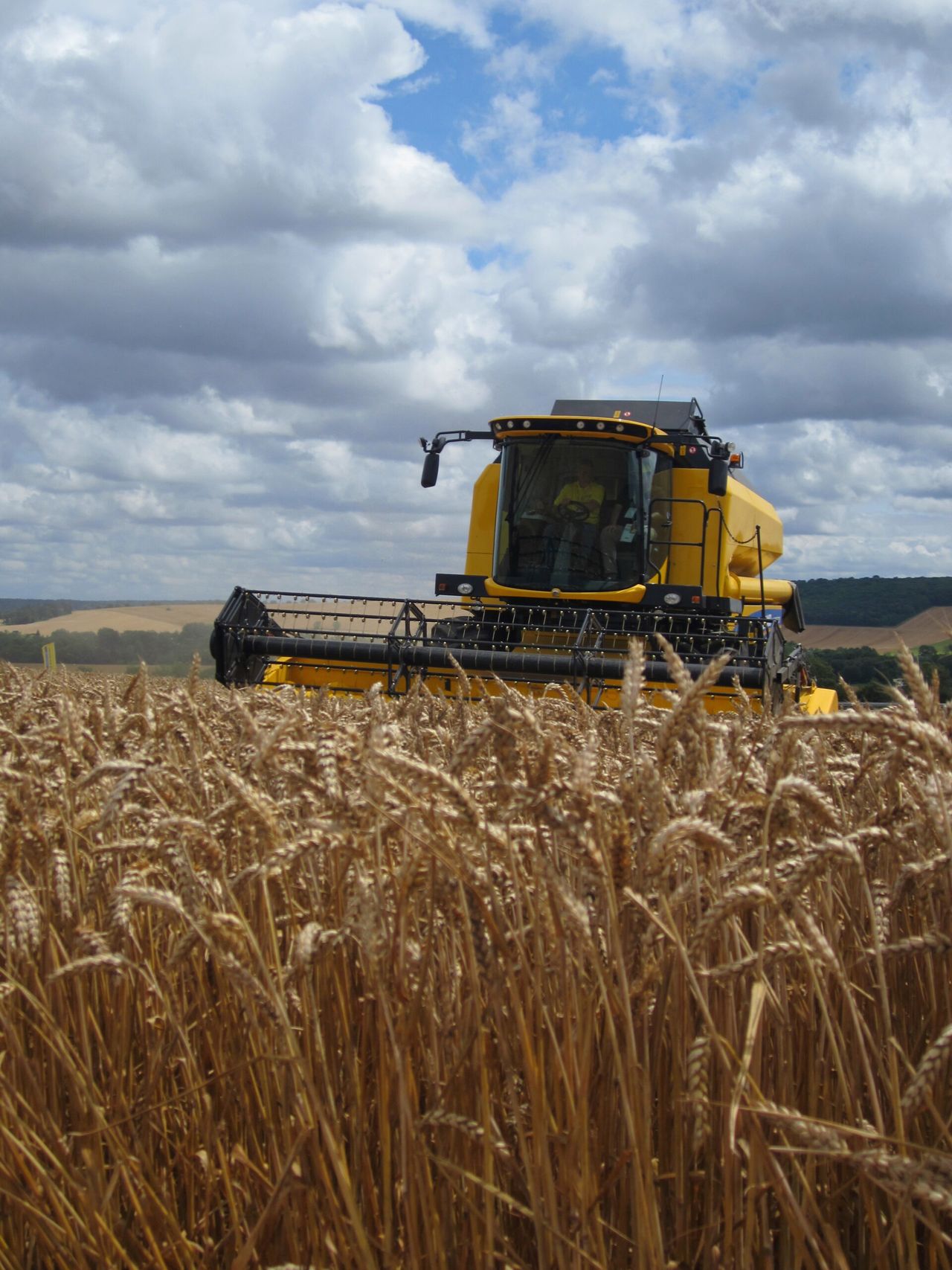 UK harvest 80% done, following 500,000ha push this week