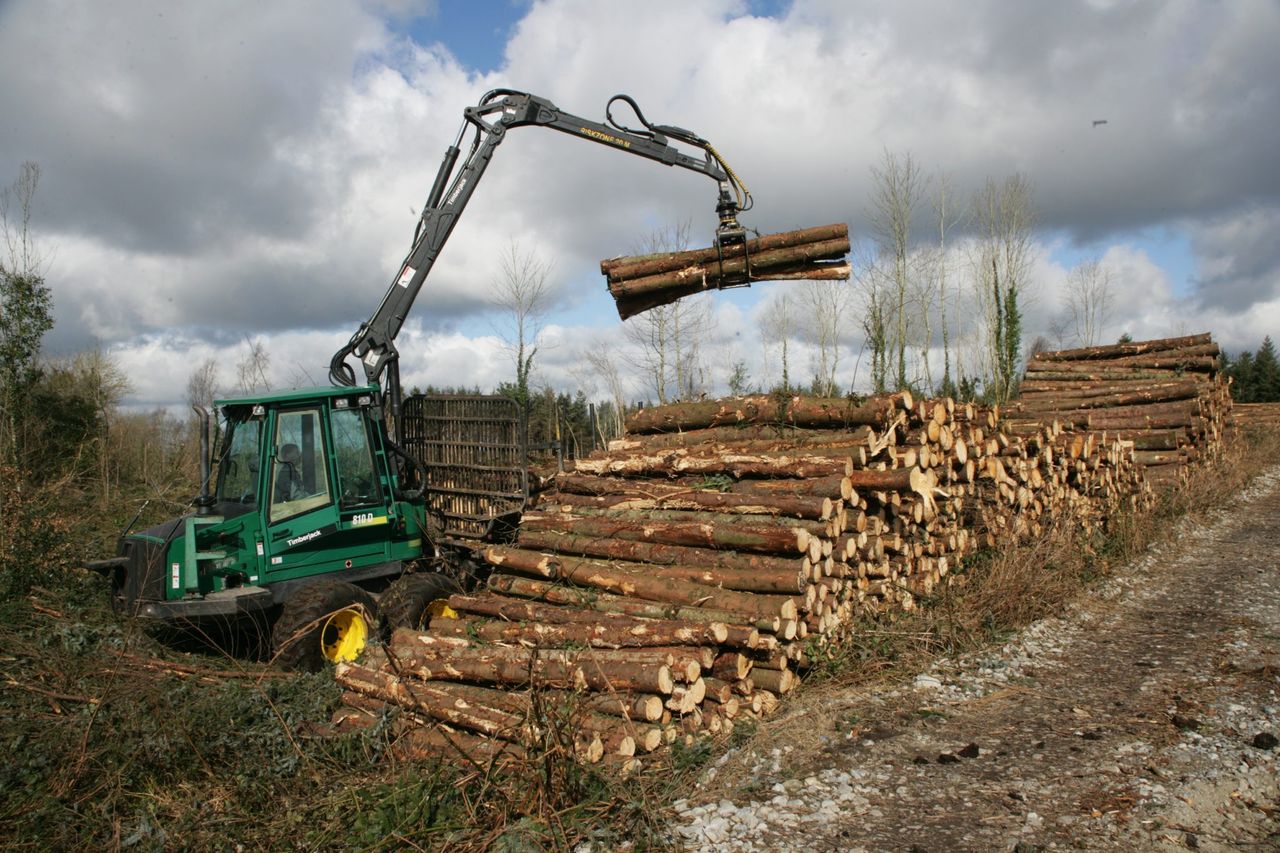 Doyle announces clinics for online forestry premium application