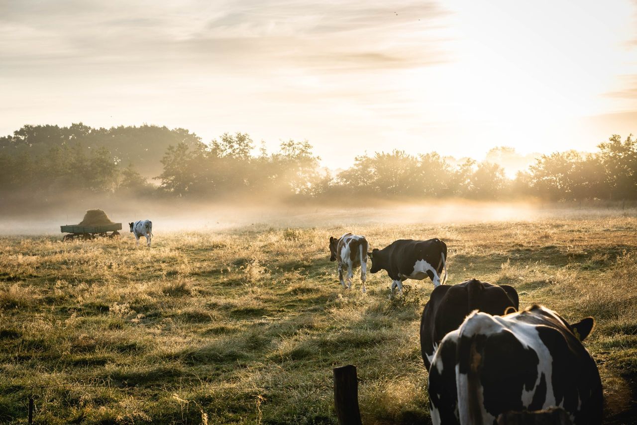 New closing date for Organic Farming Scheme announced