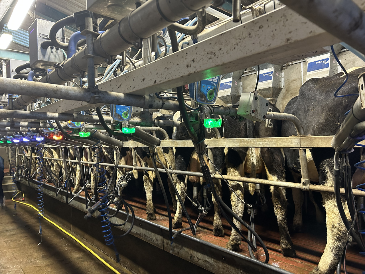 MSD launches milk quality monitoring systems