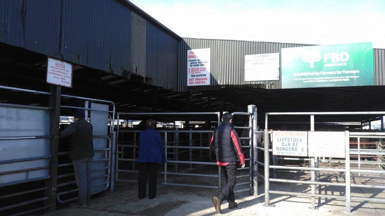 Third mart moves to host TB herd restricted cattle sales
