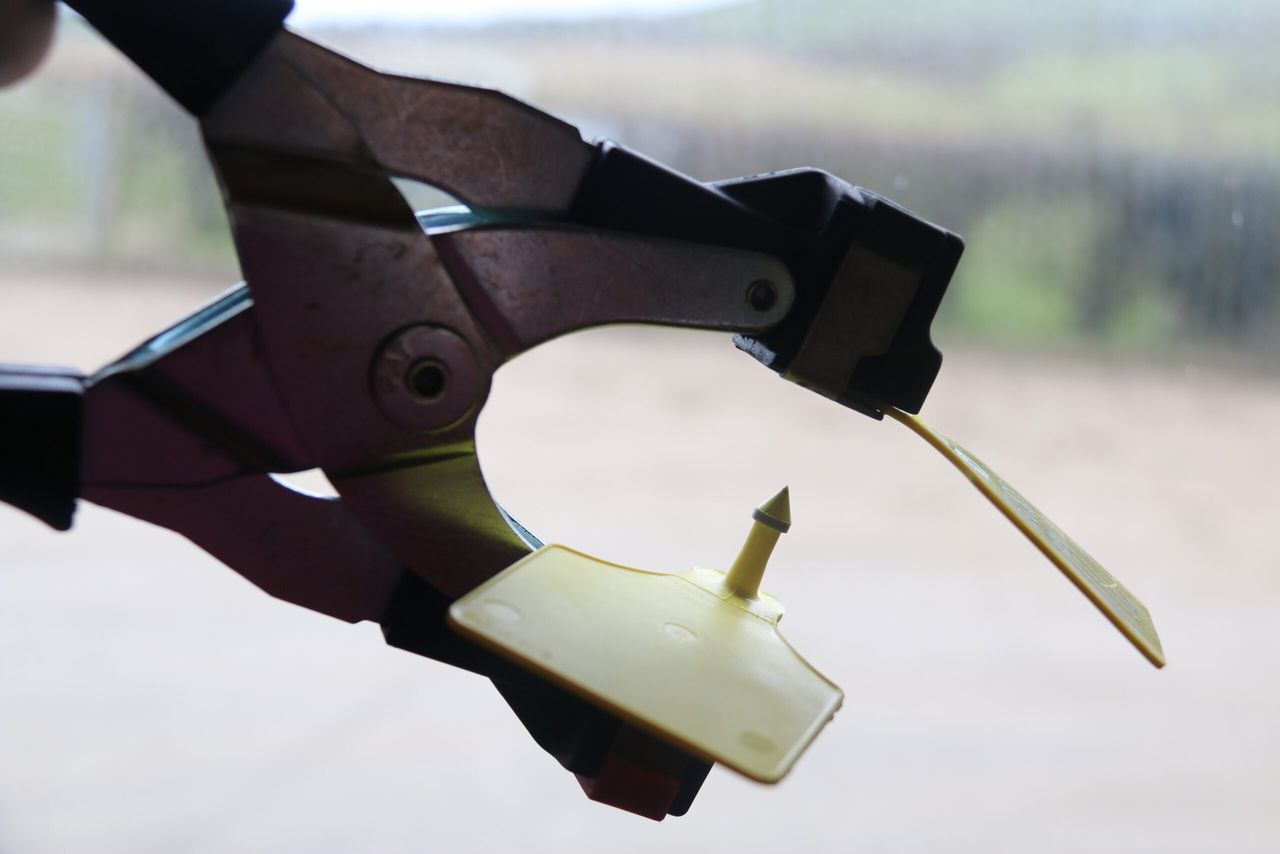 Reactor fraud: Illegal TB tag swapping suspected in the North