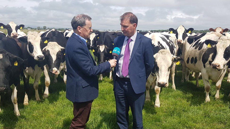 Farm deaths over double the amount in 2016