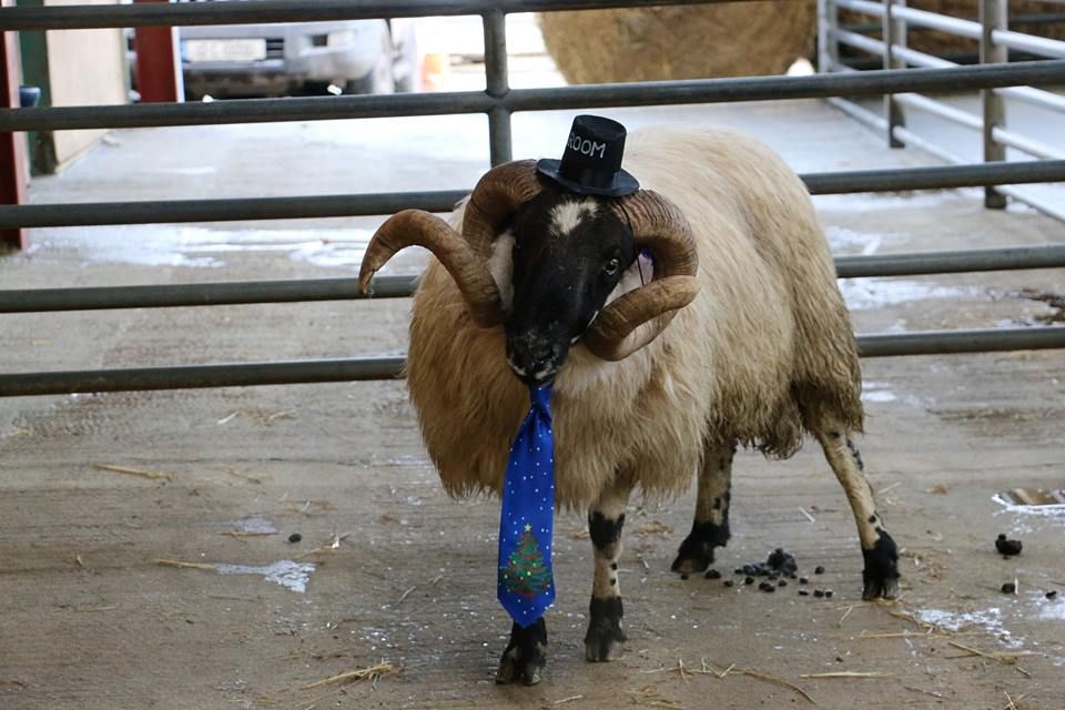 Ladies, forget the nightclubs - it's all about the marts!