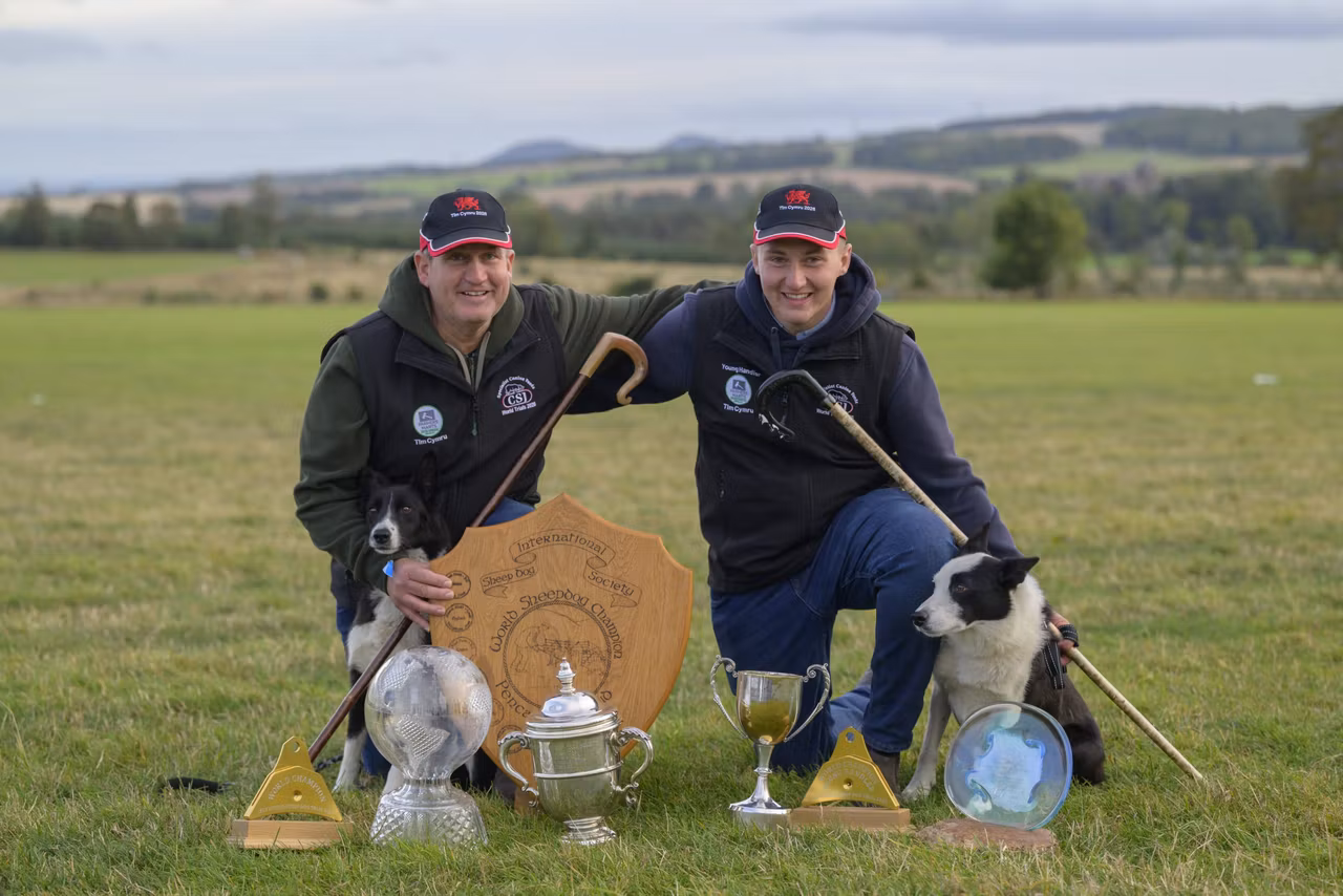 Welsh father and son make history at Sheep Dog World Trial