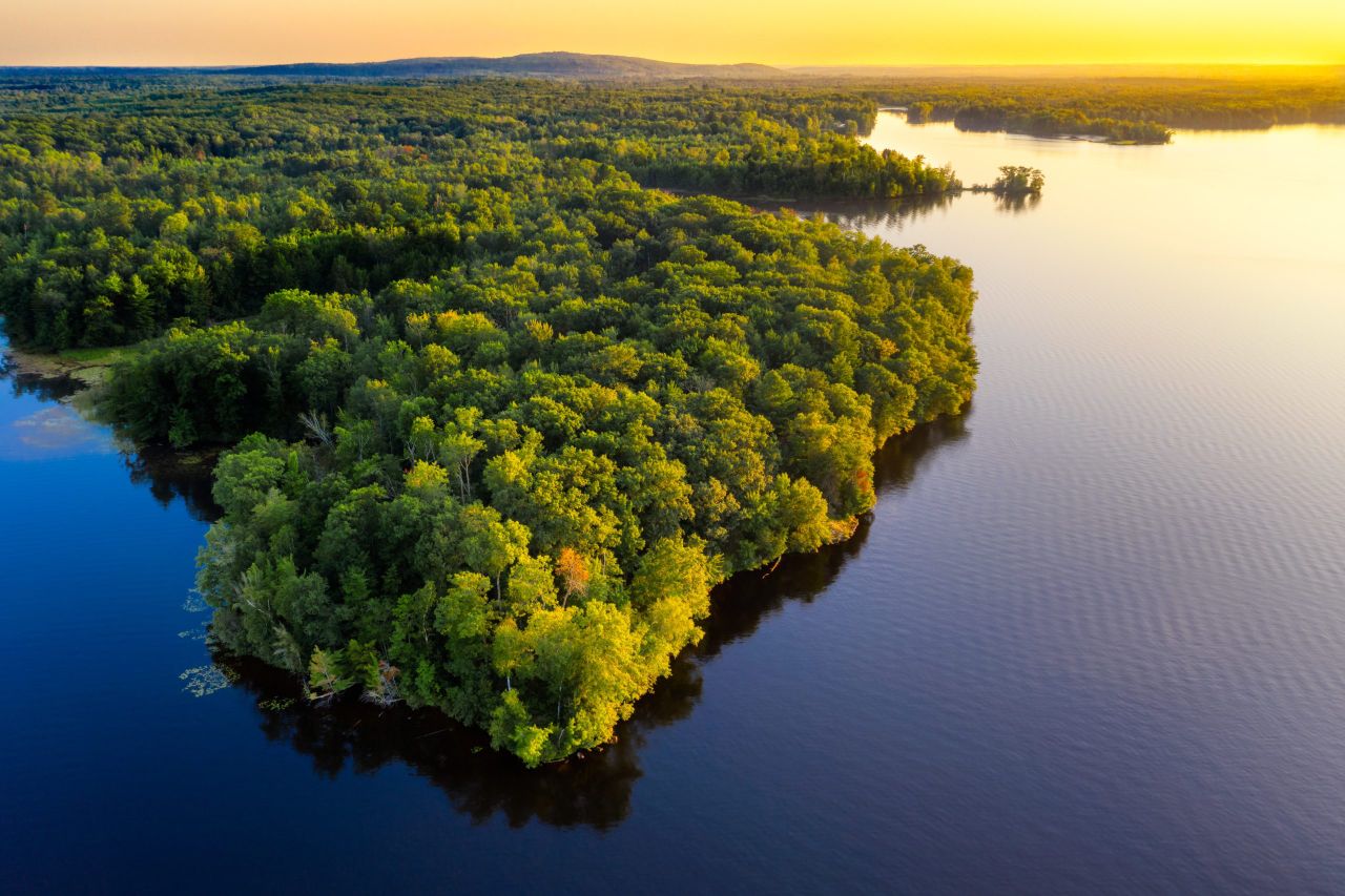 Earth Overshoot Day: Half of earth's biocapacity used for food production