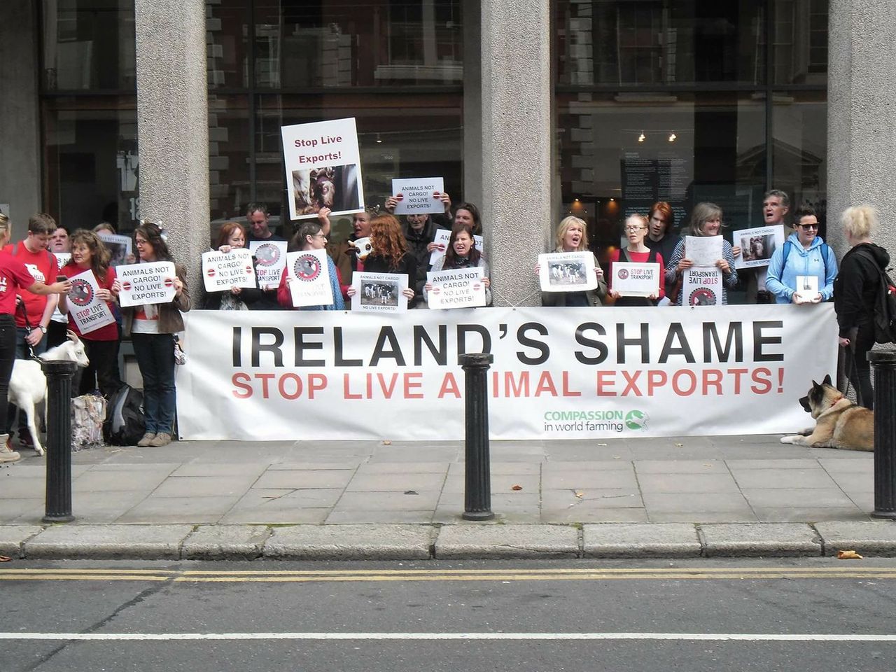 Live exports protest planned for this weekend