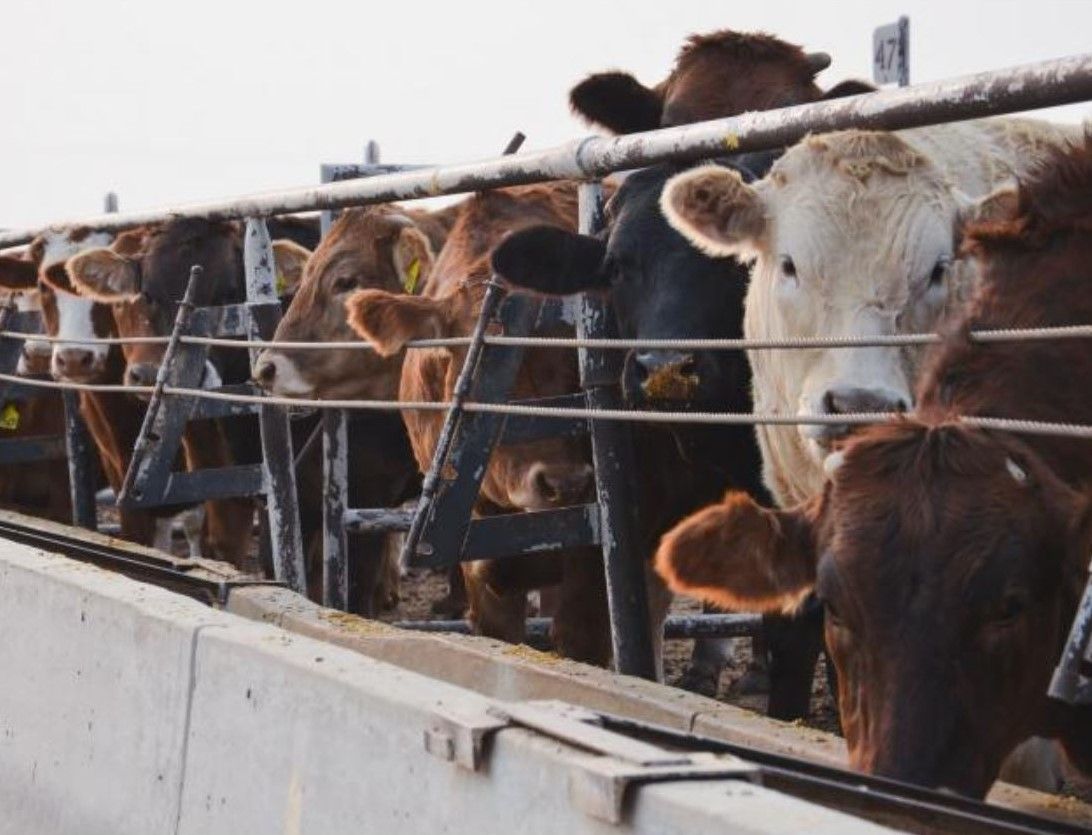 U.S to provide €193m in grants to expand meat and poultry sectors