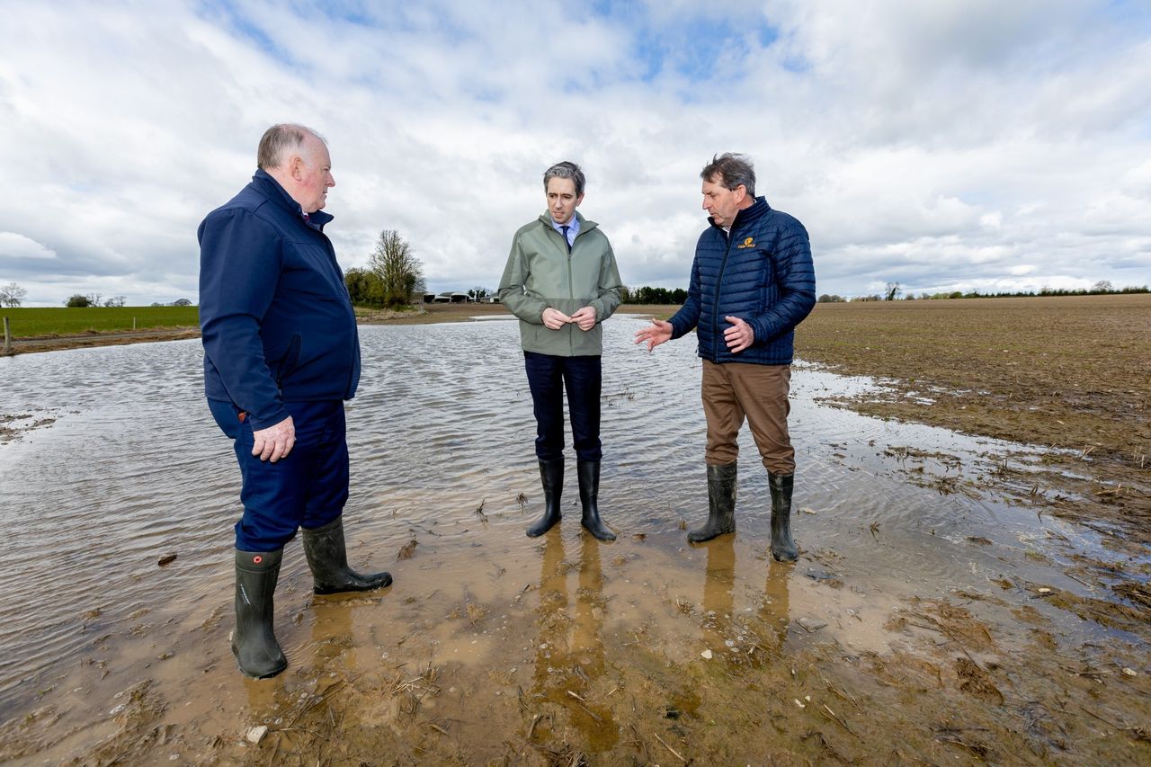 Taoiseach to speak at farming and food conference in Kildare