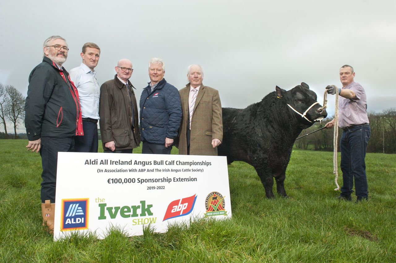 Aldi extends All-Ireland Angus championships sponsorship